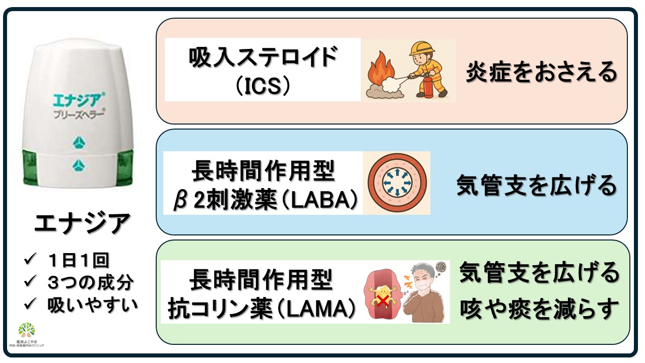 エナジア【喘息治療薬】