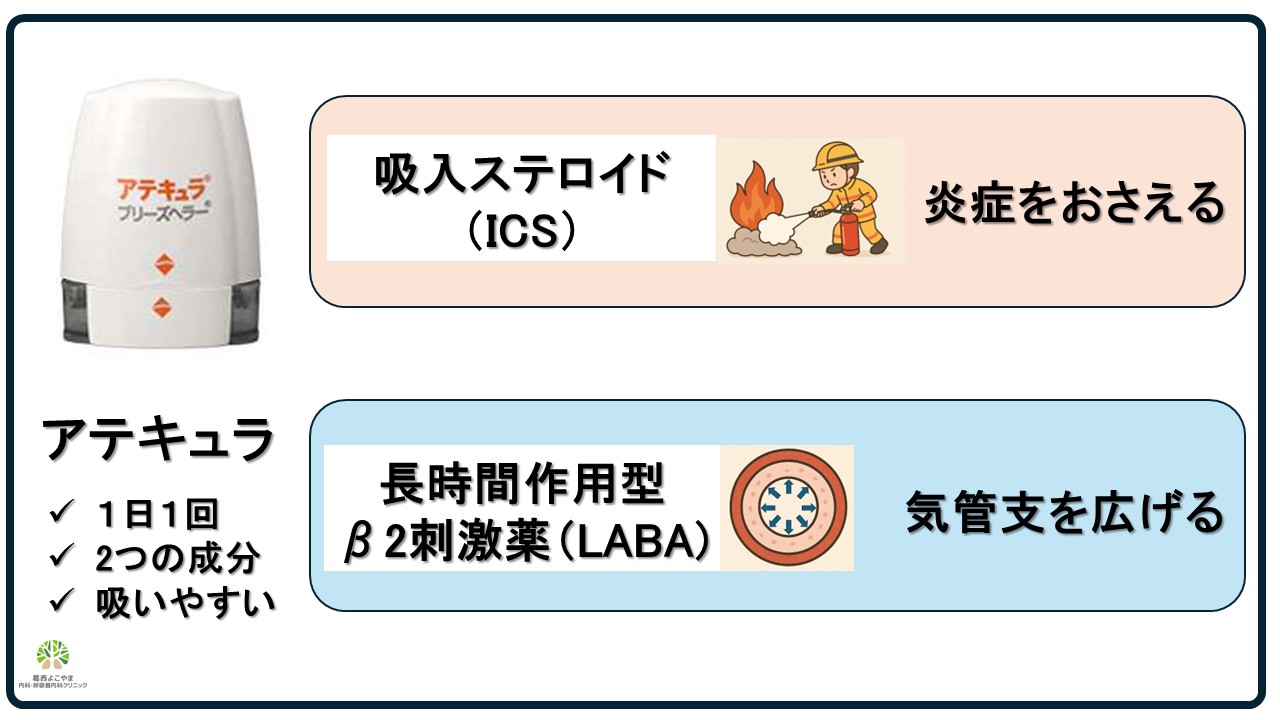 アテキュラ【喘息治療薬】