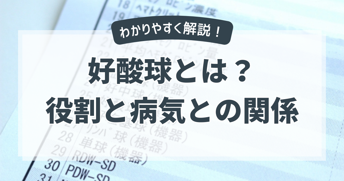 好酸球とは？役割と病気との関係をわかりやすく解説