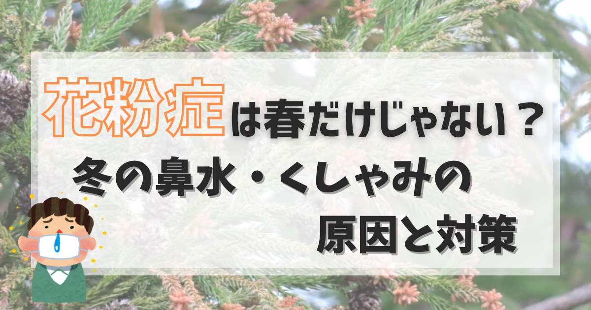 花粉症は春だけじゃない？冬の鼻水・くしゃみの原因と対策