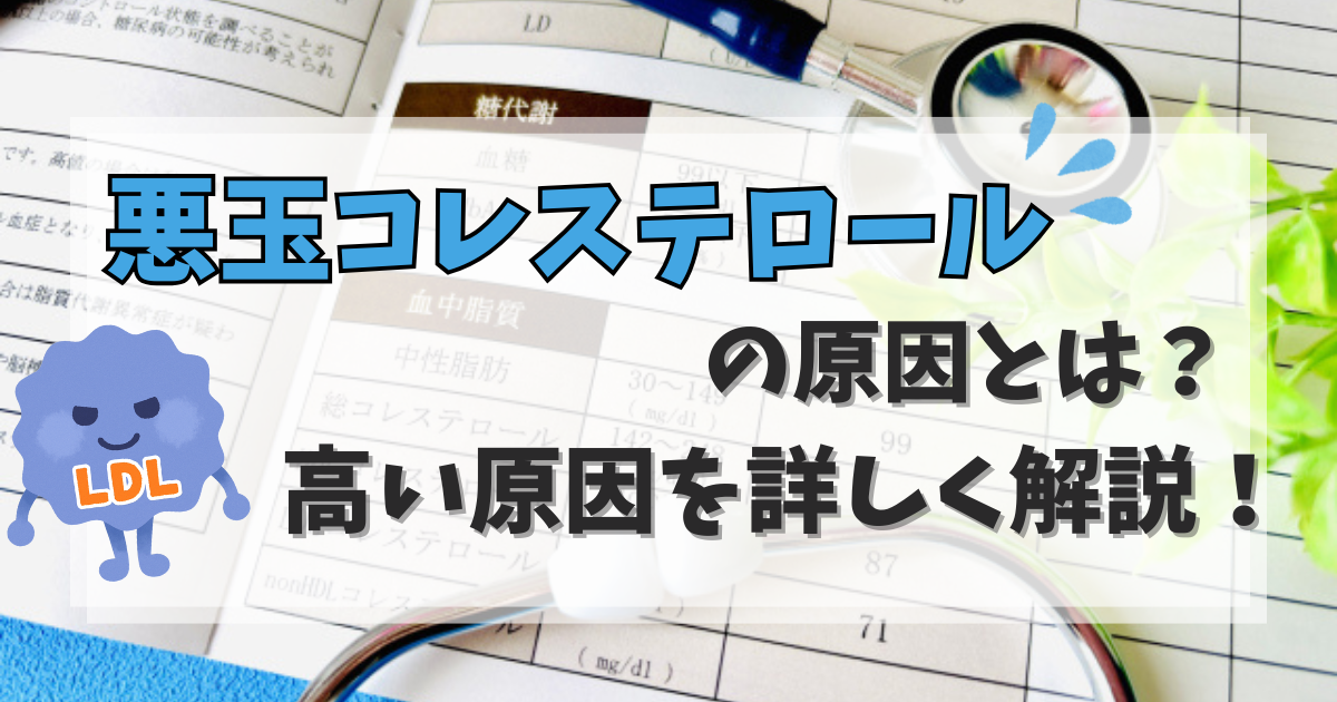 悪玉コレステロール（LDL）が高い原因｜食事・運動・体質の影響