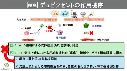 デュピクセント作用機序