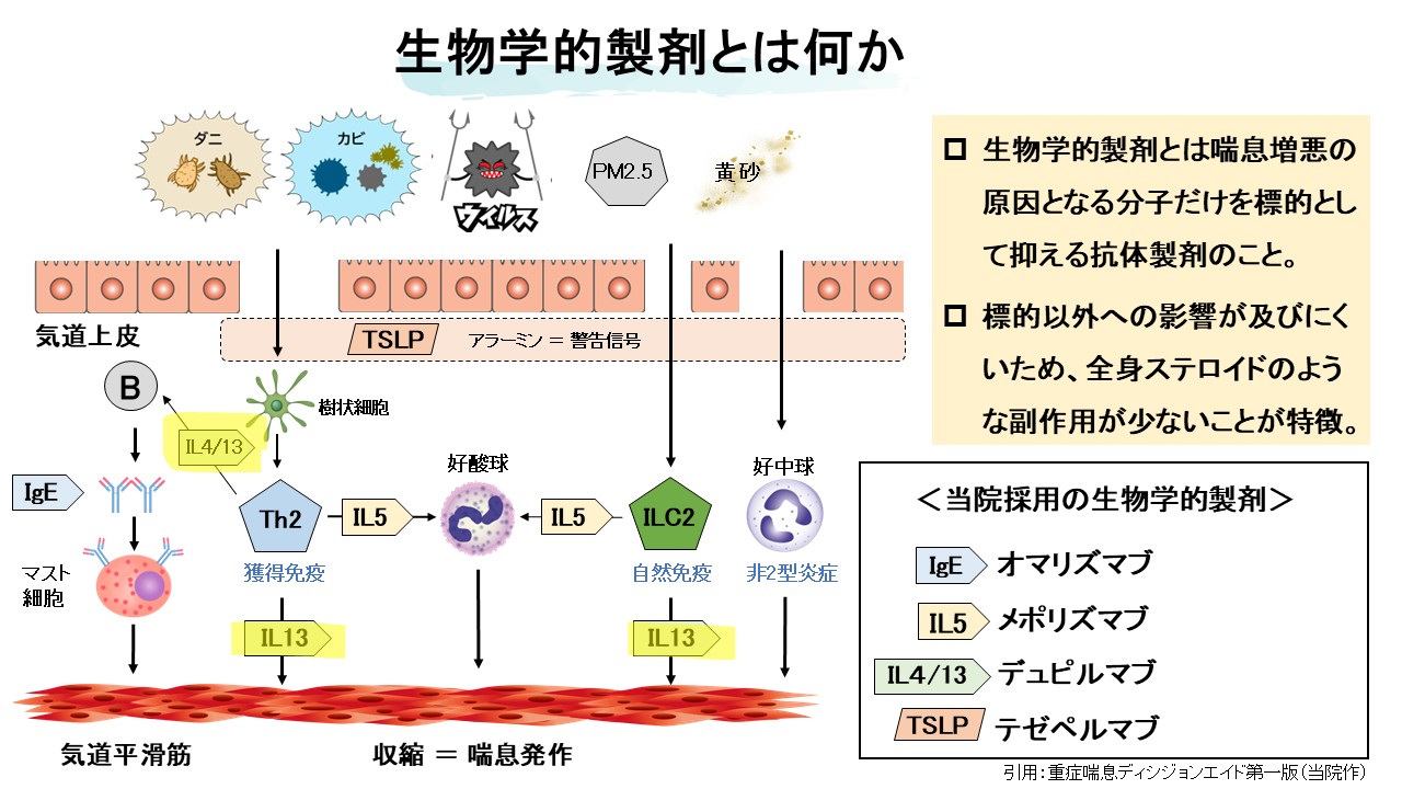 生物学的製剤の作用機序