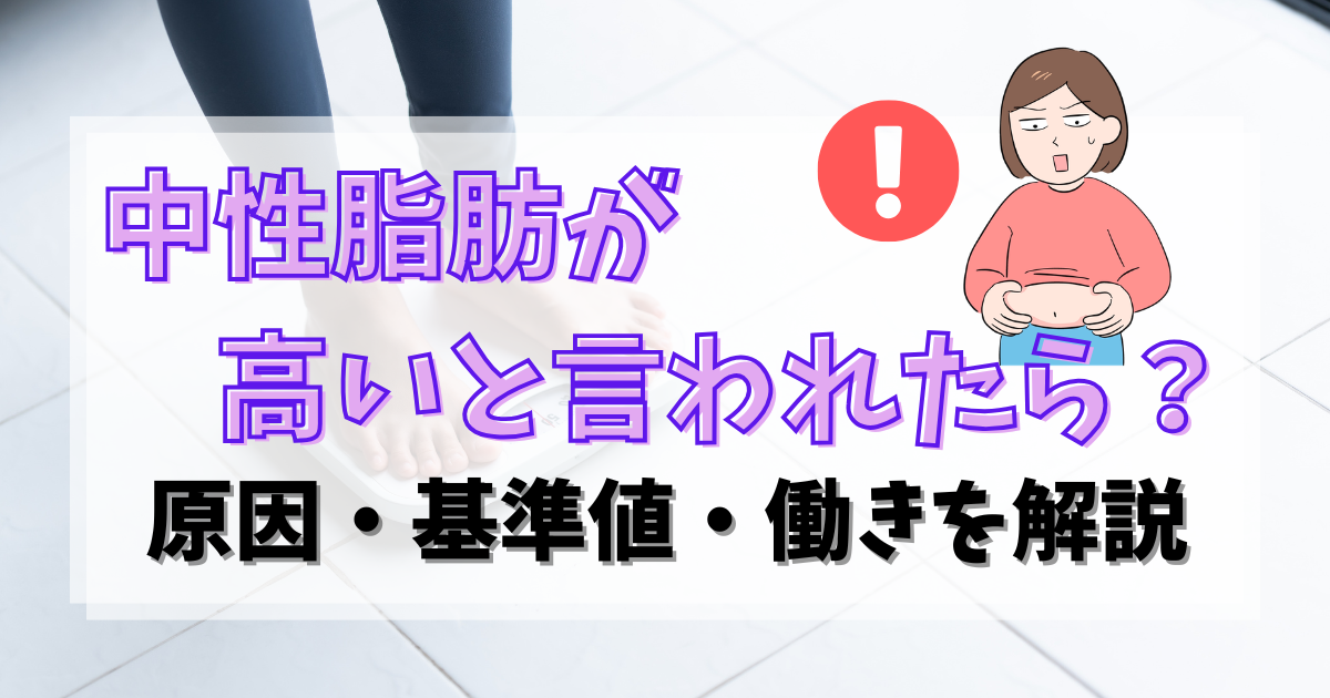 中性脂肪が高いと言われたら？原因・基準値・働きを解説