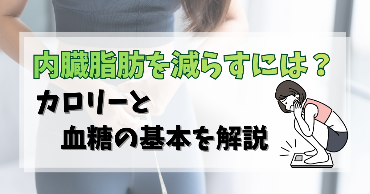 内臓脂肪を減らすには？｜カロリーと血糖の基本
