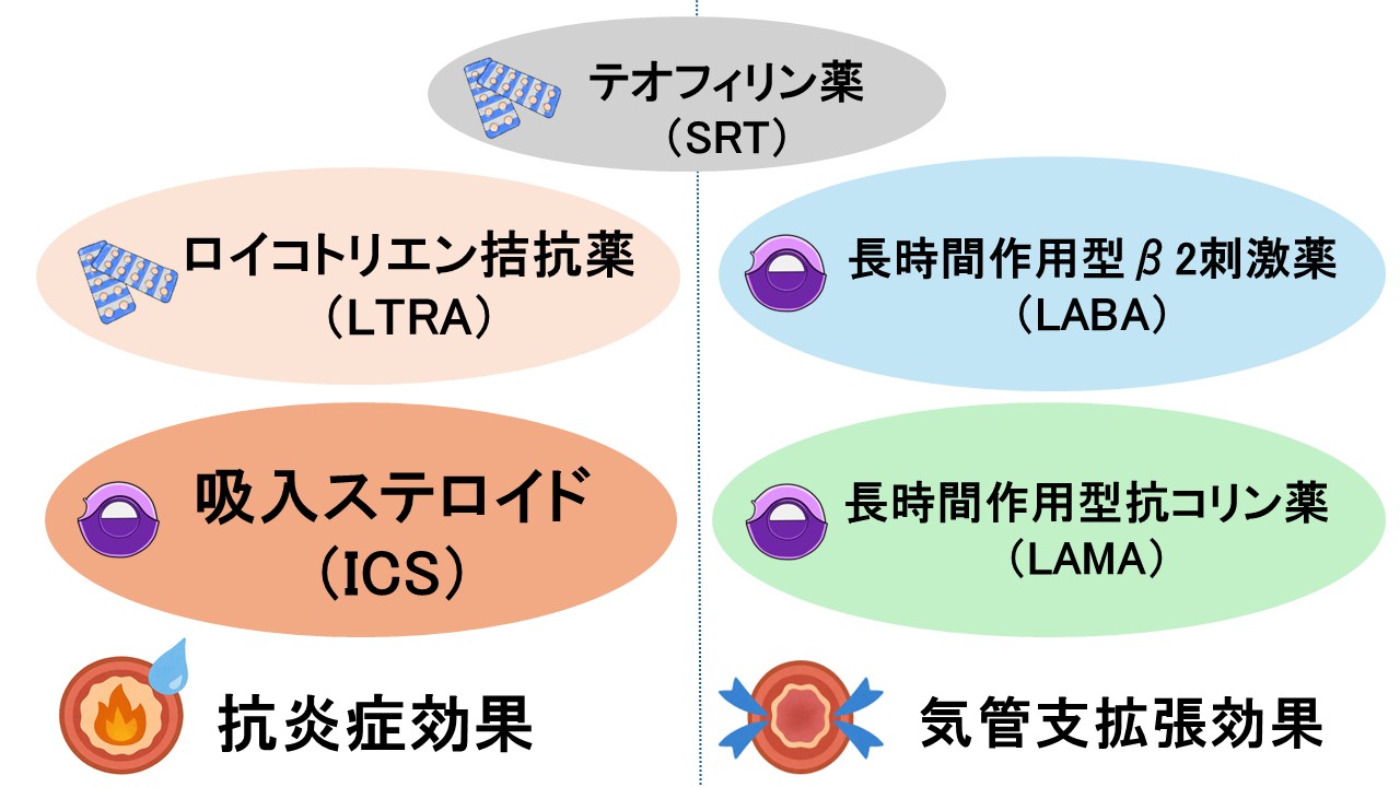 喘息長期管理薬（コントローラー）の薬効
