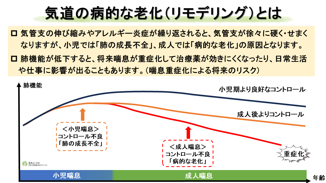 気道の病的な老化（リモデリング）とは