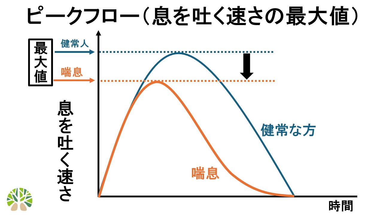 ピークフローのイメージ