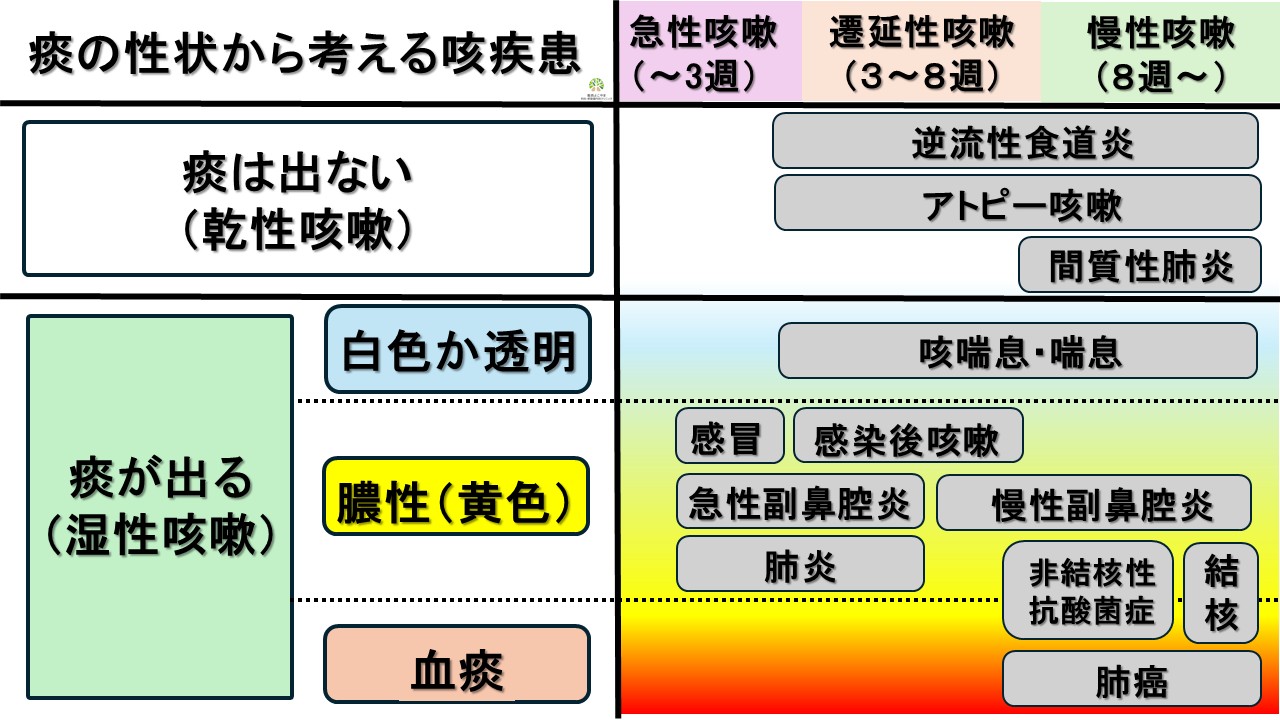 痰の性状から考える咳疾患