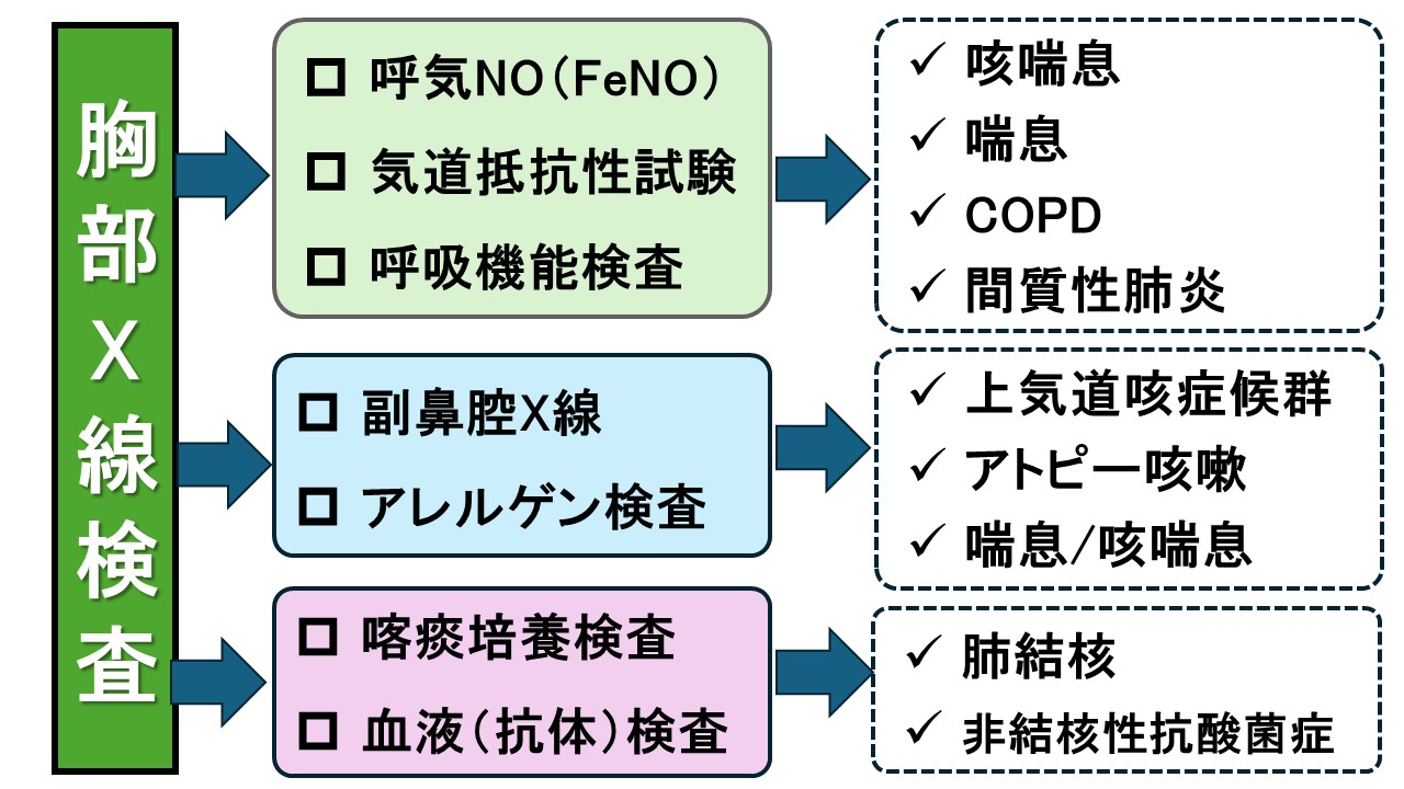 長引く咳の検査