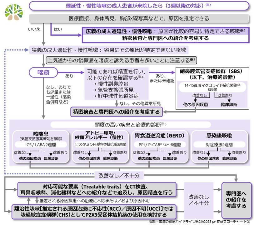 難治性慢性咳嗽のフローチャート図だけ