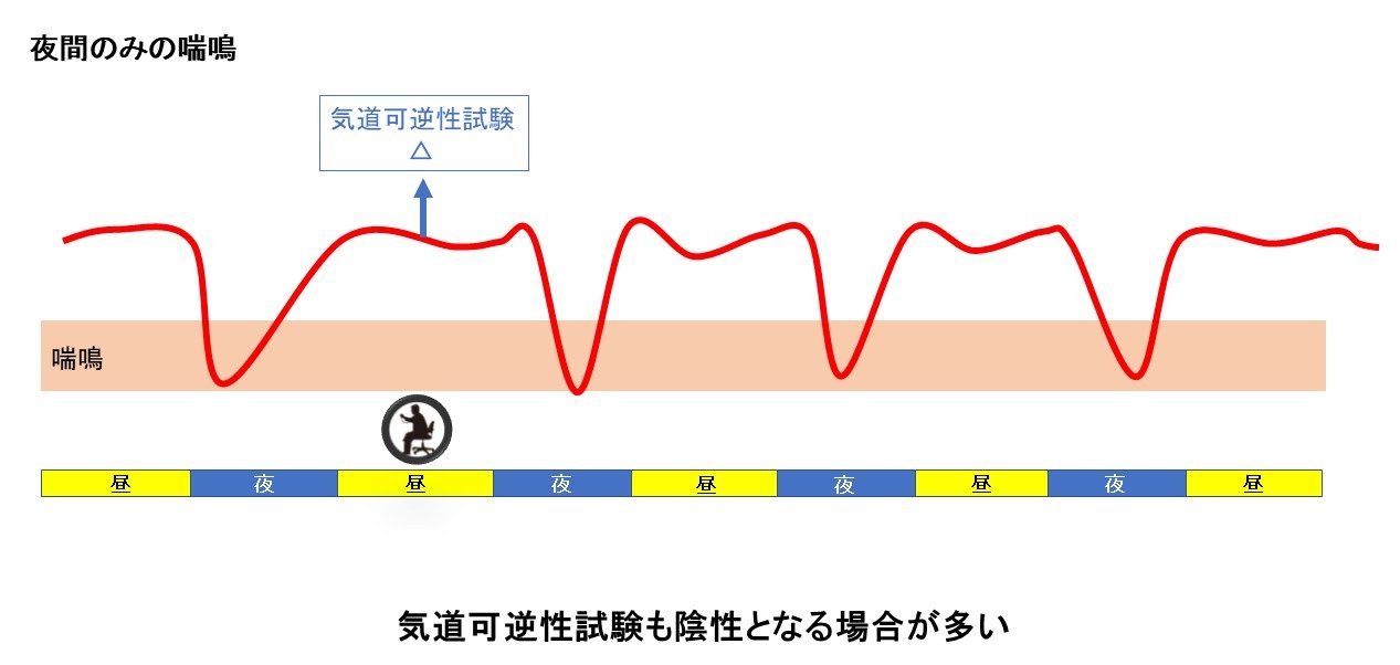 夜間のみの喘鳴を来しているような喘息では、日中に行う気道可逆性試験は陰性となる場合が多い。