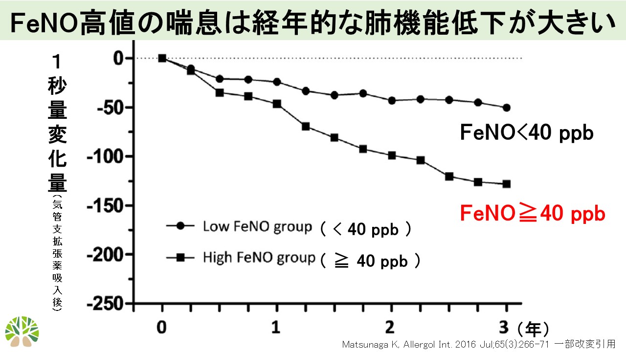 FeNOと1秒量経年低下の関係